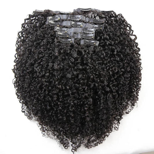 Kinky Curly Seamless Clip Ins